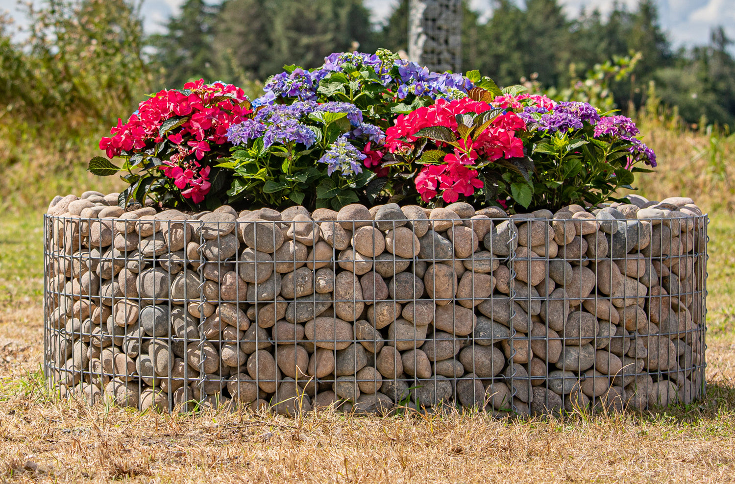 Gabion Högbäddar