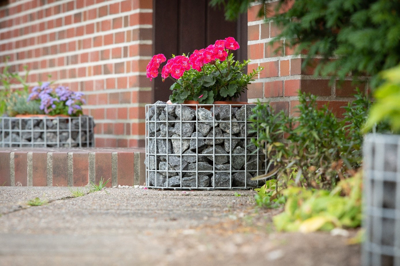 Gabionbänk av blomkolonner: Trädgårdsmöbler för växtälskare