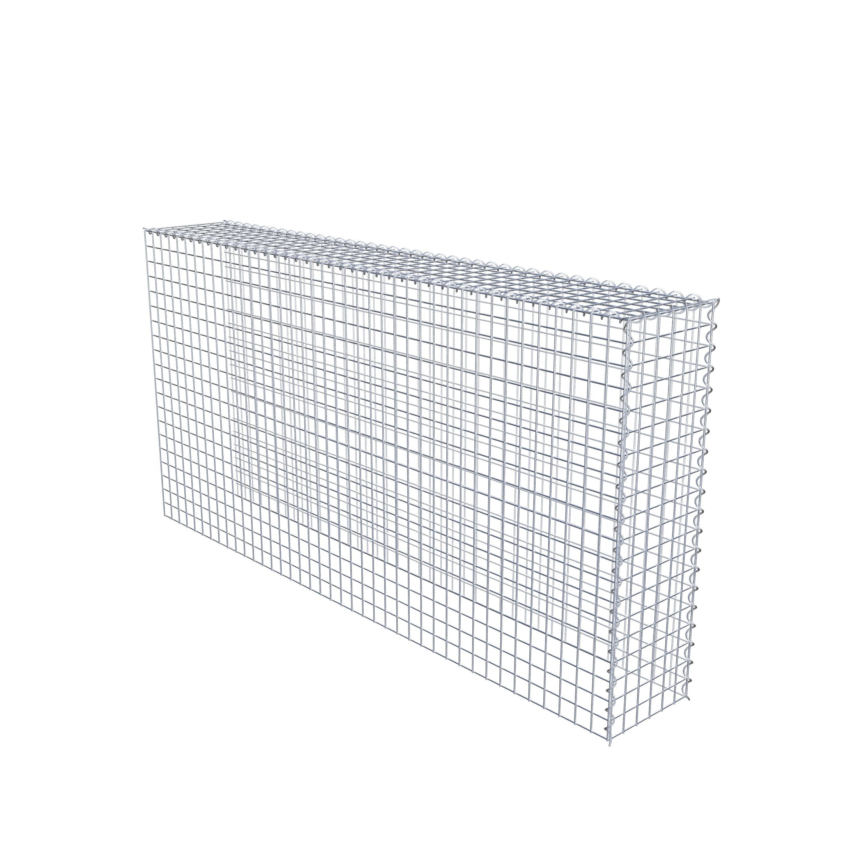 Påväxt gabion typ 4 200 cm x 100 cm x 30 cm (L x H x D), maskstorlek 5 cm x 5 cm, spiral