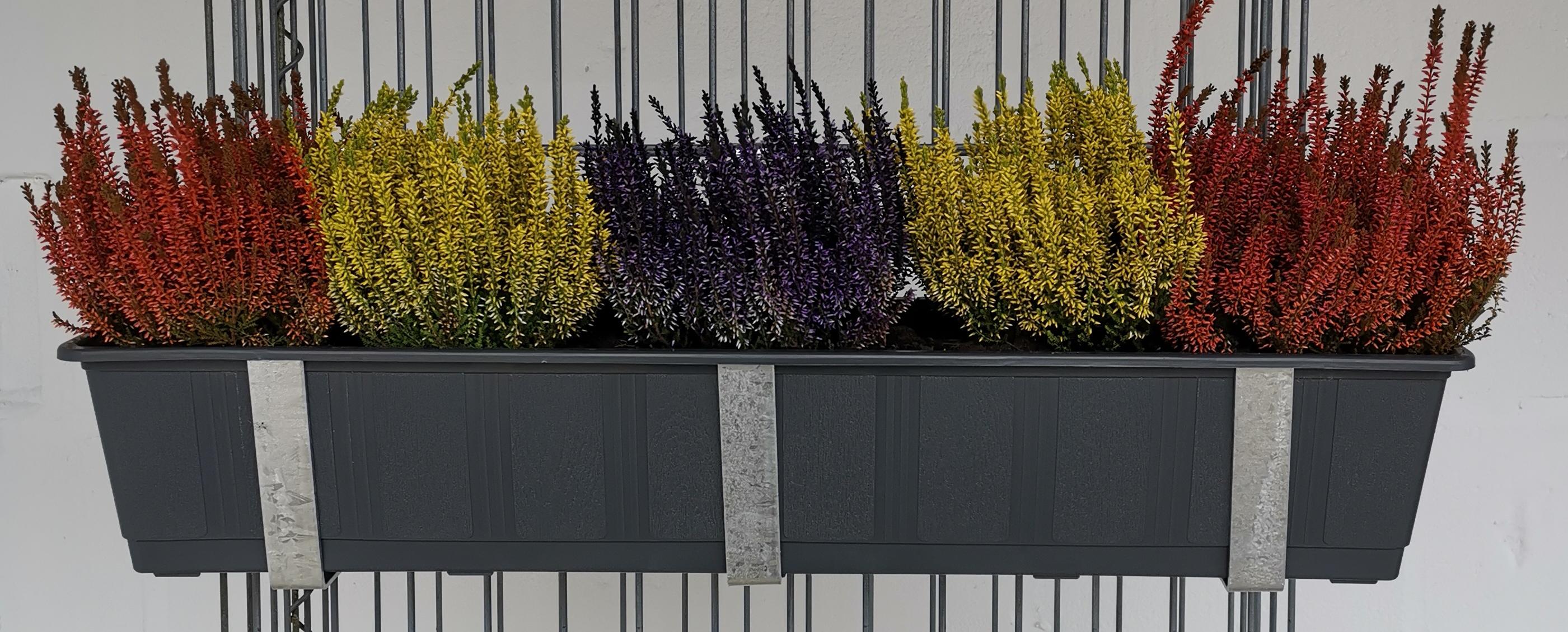 Blumenkastenhalter verzinkt im 3er Set inklusive Blumentopf, für Gabionen MW 5 x 20
